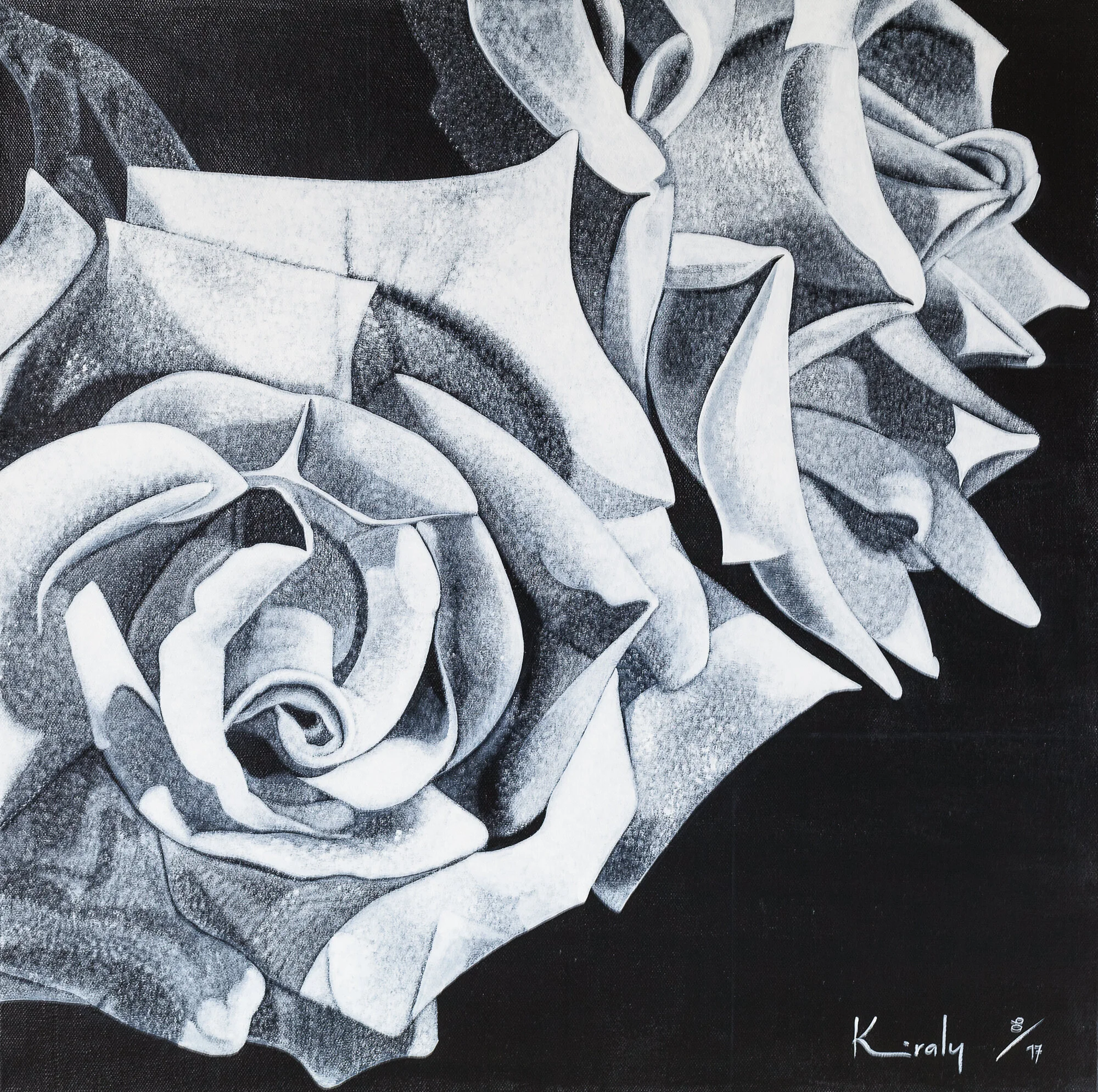 Rose Study — joanna kiraly